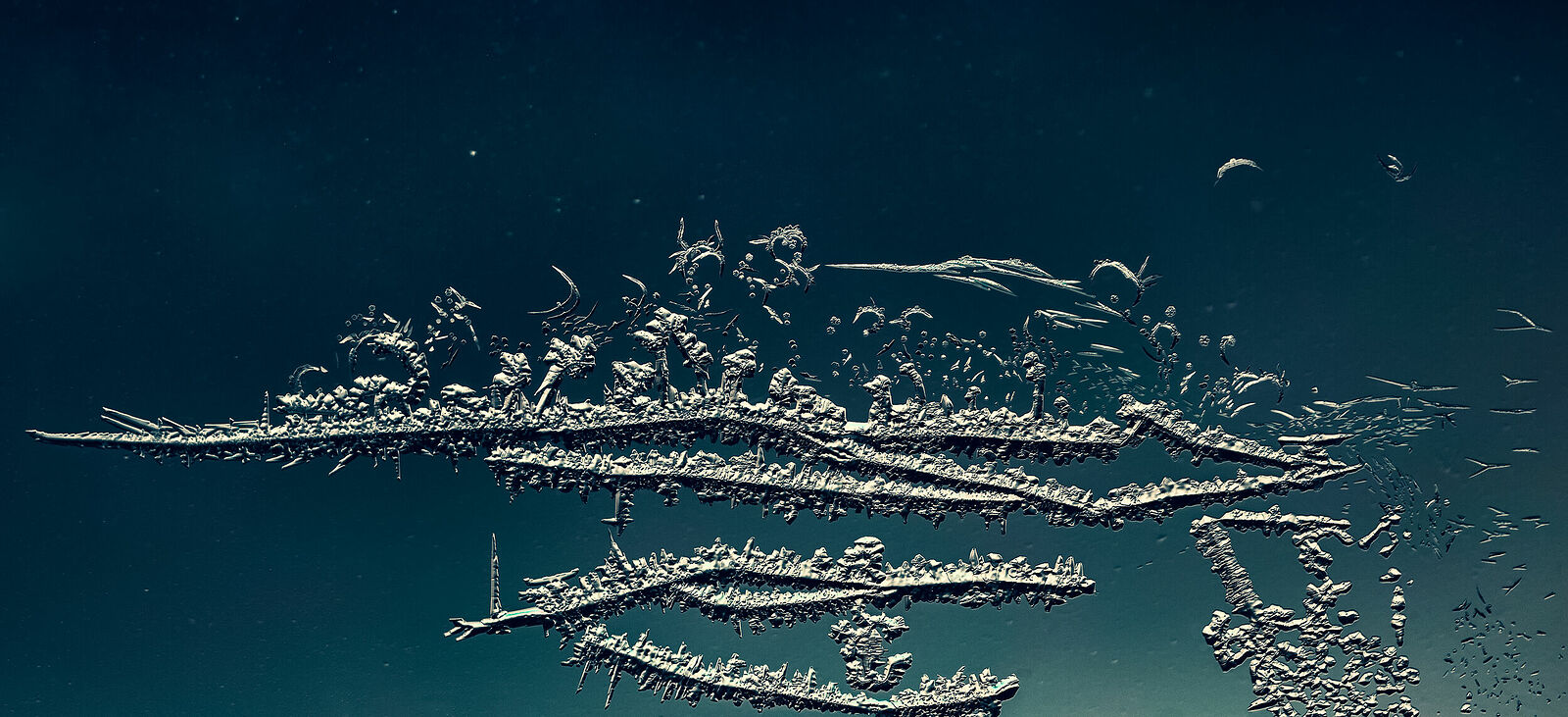 тревожный ветер, диалектика освобождения